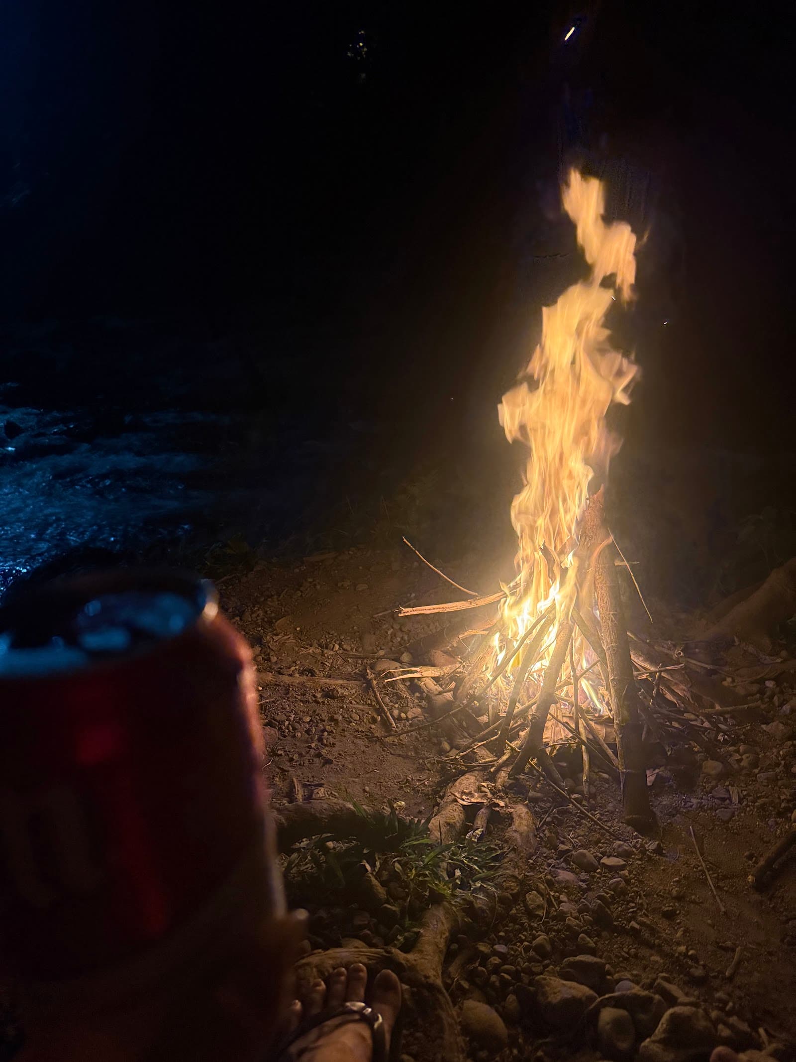 The Ultimate Costa Rica Party Guide: Beyond the Tourist Trail