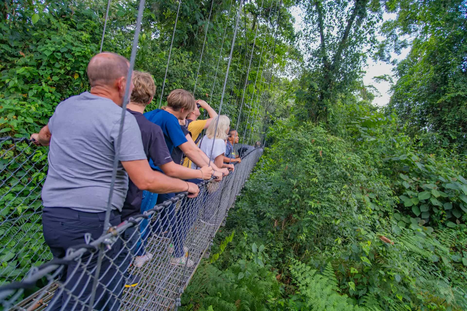 Volcano, Hanging Bridges & Hot Springs Combo - Image 1