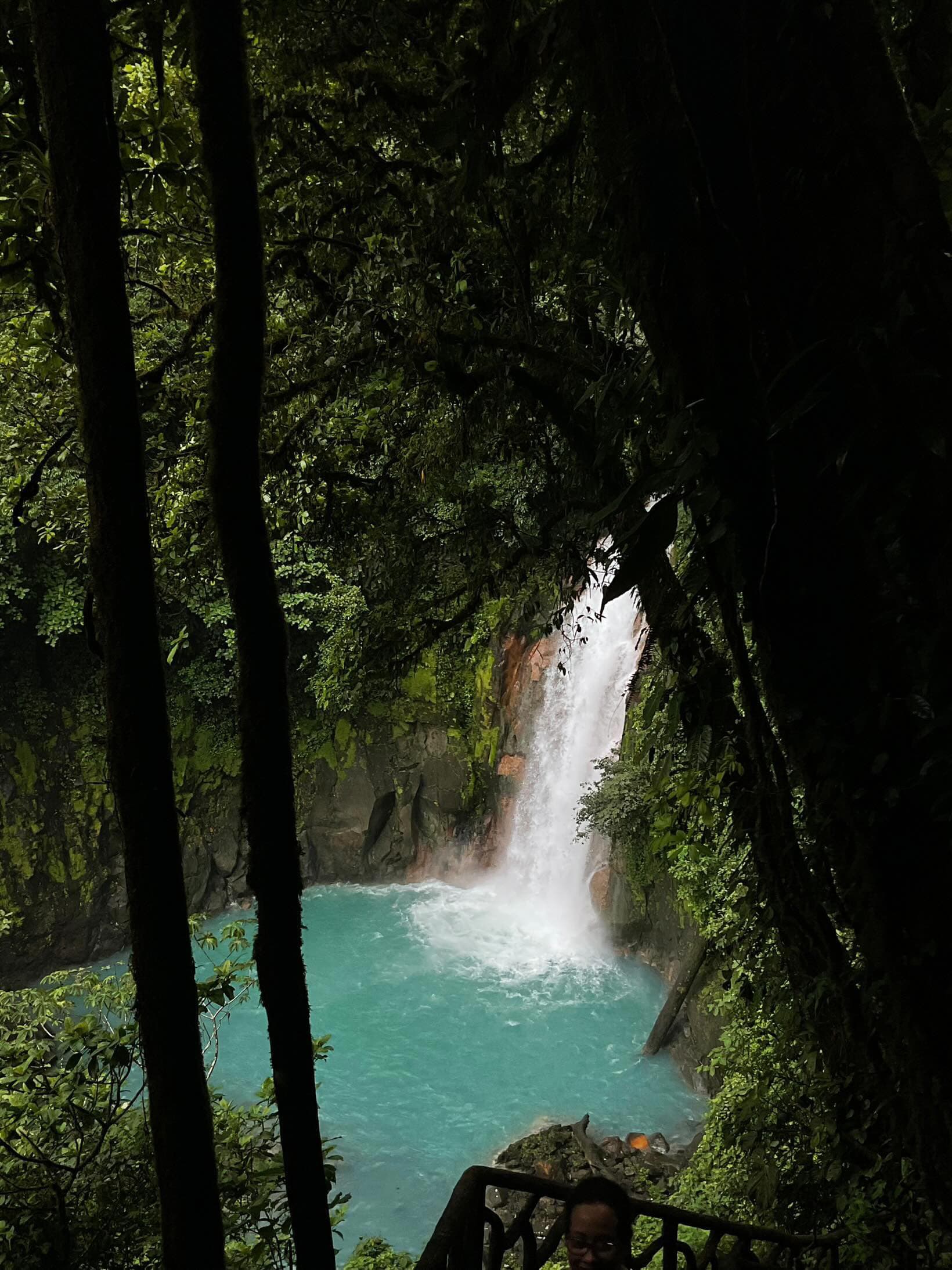 Río Celeste Day Trip (Tenorio Volcano) - Image 1